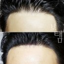 더보탬 네이버블로그