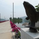 화천읍사무소 이미지