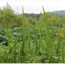 동국농장 이미지