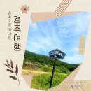 힐스파이브 관광펜션 | 경주 힐링펜션 감성 가족펜션 캠프파이브 캠프6 후기