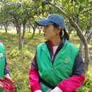 갈산농장 이미지