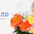 글라스스토리안경김포한강점 네이버블로그