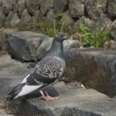 신암근린공원 이미지