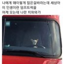 밥즐맛즐분식 | 피할 수 없으면 즐