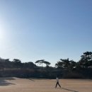 도곡동오리촌