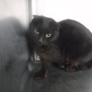 중산간동로 이미지