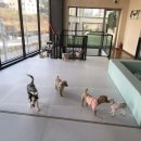 참견아카데미 이미지