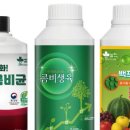 주식회사 백프로 이미지