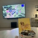 장전로6번길(2-169) | Wedding. 대전 라비에벨 본식 끝 자유 인간 후기