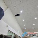 개포동 랜공사 대형 사무실랜선공사 현장 후기