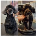 유스타 그루밍 이미지