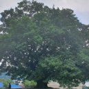 남해-220 이미지