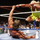 미스터컷트 이미지