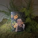 휘 스테이 이미지