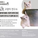 펫포유 | 고양이 브리더, 수의학을 논하다: 박사학위 수집가의 조금은 황당한 넋두리