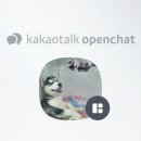 퍼피몽몽 이미지