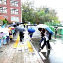 도창초등학교 Daum카페