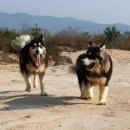 태경 Daum카페