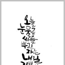 캘리그라피 이미지