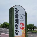 김병호농장 | 제주여행 4일차, 서귀포 가볼만한 곳 감귤체험장, 감귤박물관 방문 후기!