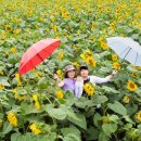 김경숙농장 이미지