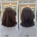 사우중로 | [경기/김포] 사우동미용실 추천 안녕헤어 톤다운염색 애쉬브라운 후기