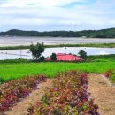 12사도민박 이미지