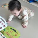 NEW팡팡노래연습장 | 아기 사운드북 추천 아기 선물 추천 두두스토리 팡팡사운드북 코끼리랑 씰룩씰룩 후기