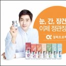 닷알파 이미지
