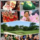 굿모닝랜드 이미지