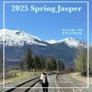 종로-연건-종로-연-390 | 8박9일 캐나다 서부 로키여행 DAY7: 보우호 ,5월 페이토호수, 재스퍼가는 길 콜럼비아아이스필드...