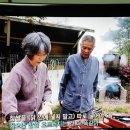 발효부부