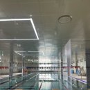 강남스포츠 - 강남구 개포로128길 35 | 영희종합스포츠센터 수영장 | 강남구 일원동 수영장, 주말 자유수영 후기, 시간표 및 가격