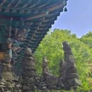 전라도인삼튀김 이미지