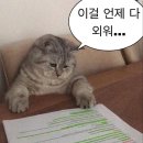 천근미용실 | 주간일기 15. 마이 스껄 라이프