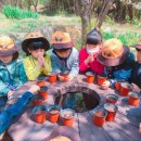 한울숲유치원 이미지