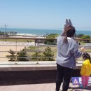 사구센터 네이버블로그