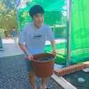 흥선농장 이미지