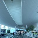 371 | 인천 국제공항 -> 중국 선전 아시아나 oz371 탑승후기