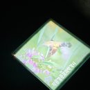 무주곤충박물관 이미지