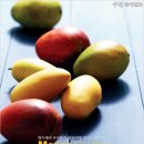 과일여왕
