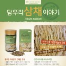 약령시명가담우리