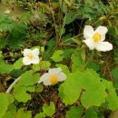 가오농장 이미지