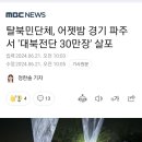 전쟁나면 제일 먼자 죽여야 할 ㅅㄲ들 이미지