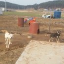 희망찬농장 이미지