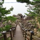 장고도7 이미지