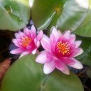 금수정사우나 이미지