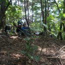 배실목장 이미지