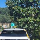 영동제일요양병원 이미지