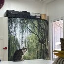 깍꼬뽁꼬 이미지